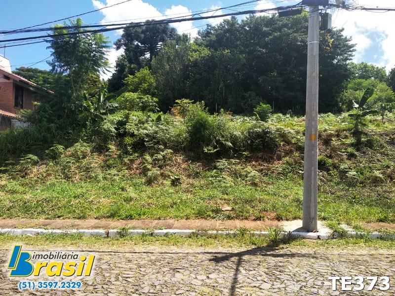 3 terrenos medindo 951,10m² no total